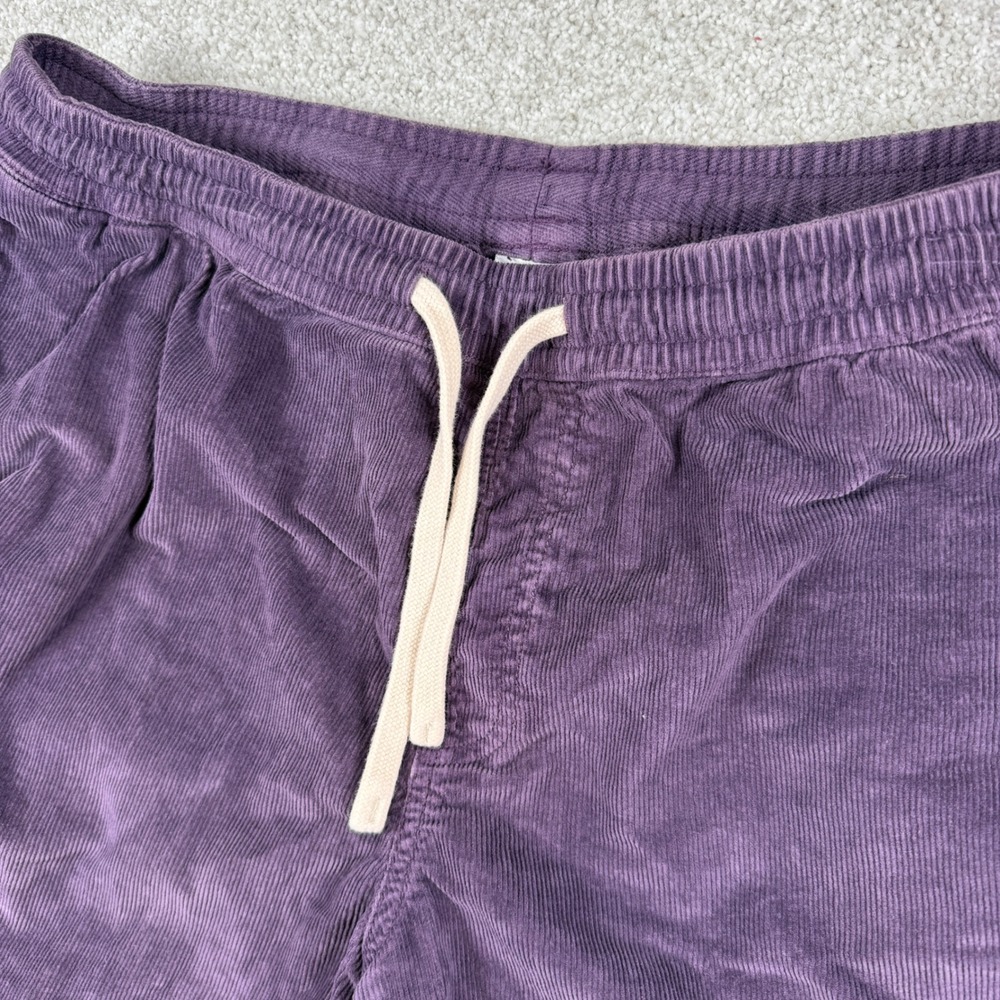 Bearbottom Corduroy Shorts Mens XL Purple 5.5 Inseam Elastic Waist Stretch